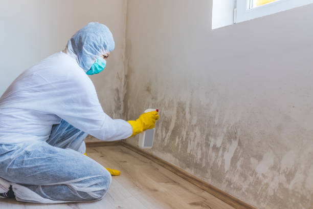 Bathroom Mold Removal assessment in Camp Hill bathroom